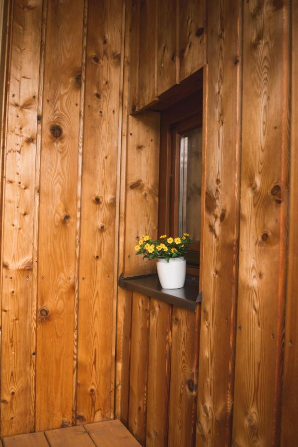 Apartment Naturnahes Familienchalet Mit Garten - Wifi - Netflix - Nur 15 Minuten Vom Chiemsee Und 35 Minuten Von Muenchen Entfernt *